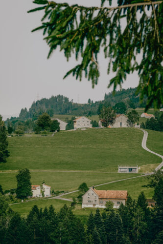 Timofust planwerk remo koller thrüen 18