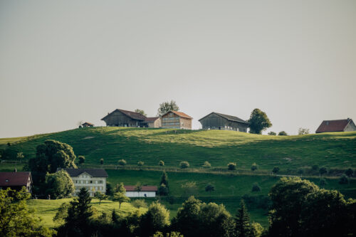Timofust planwerk remo koller thrüen 19